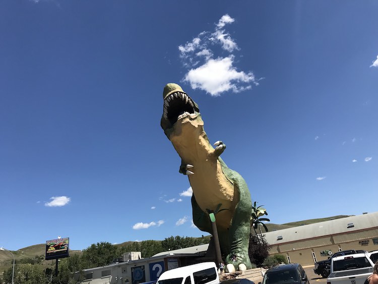 What are services provided by View Rockies?